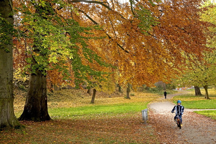 Herbststimmung