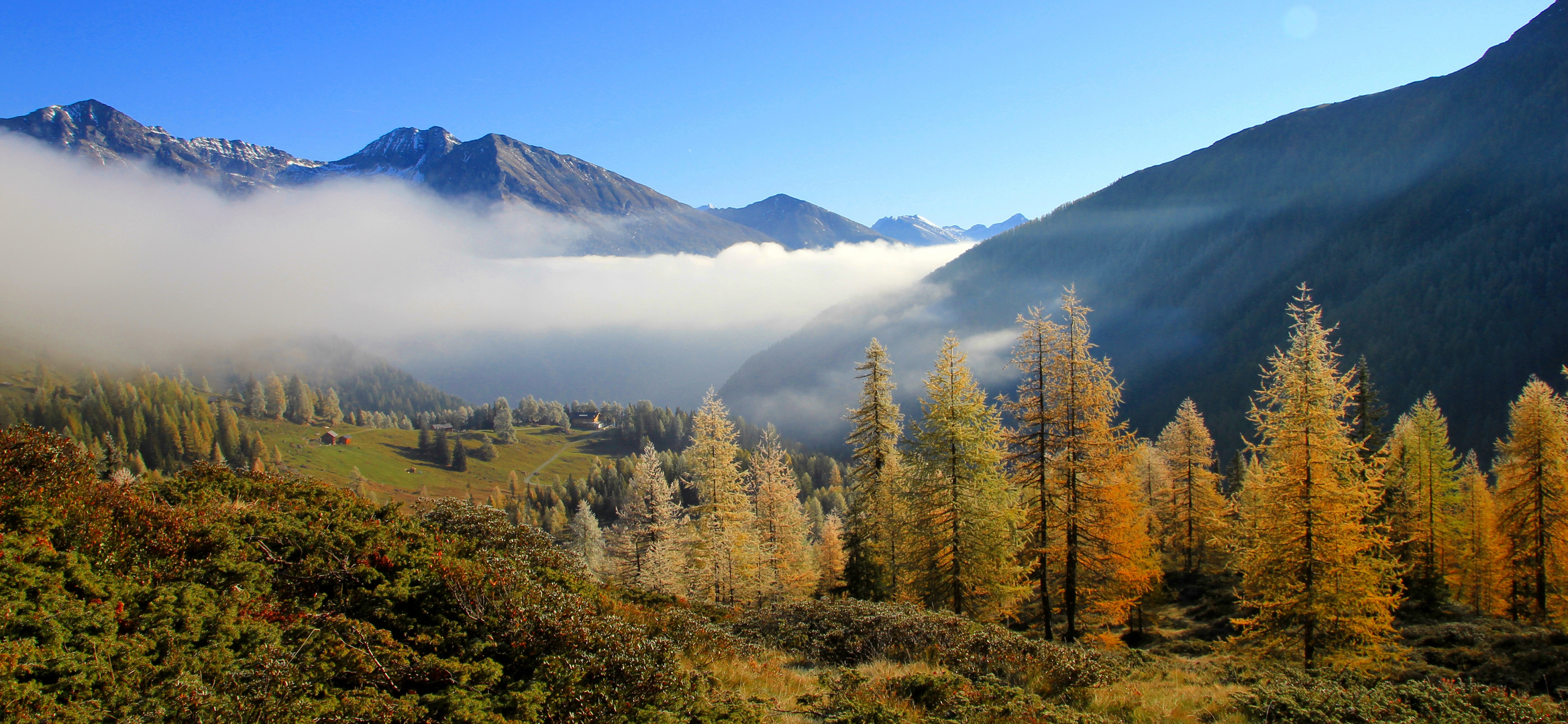 Herbststimmung