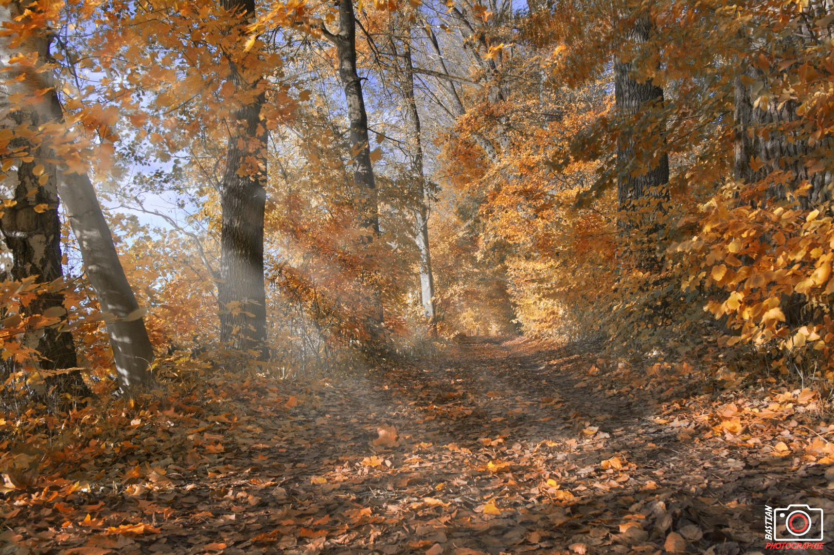 Herbststimmung