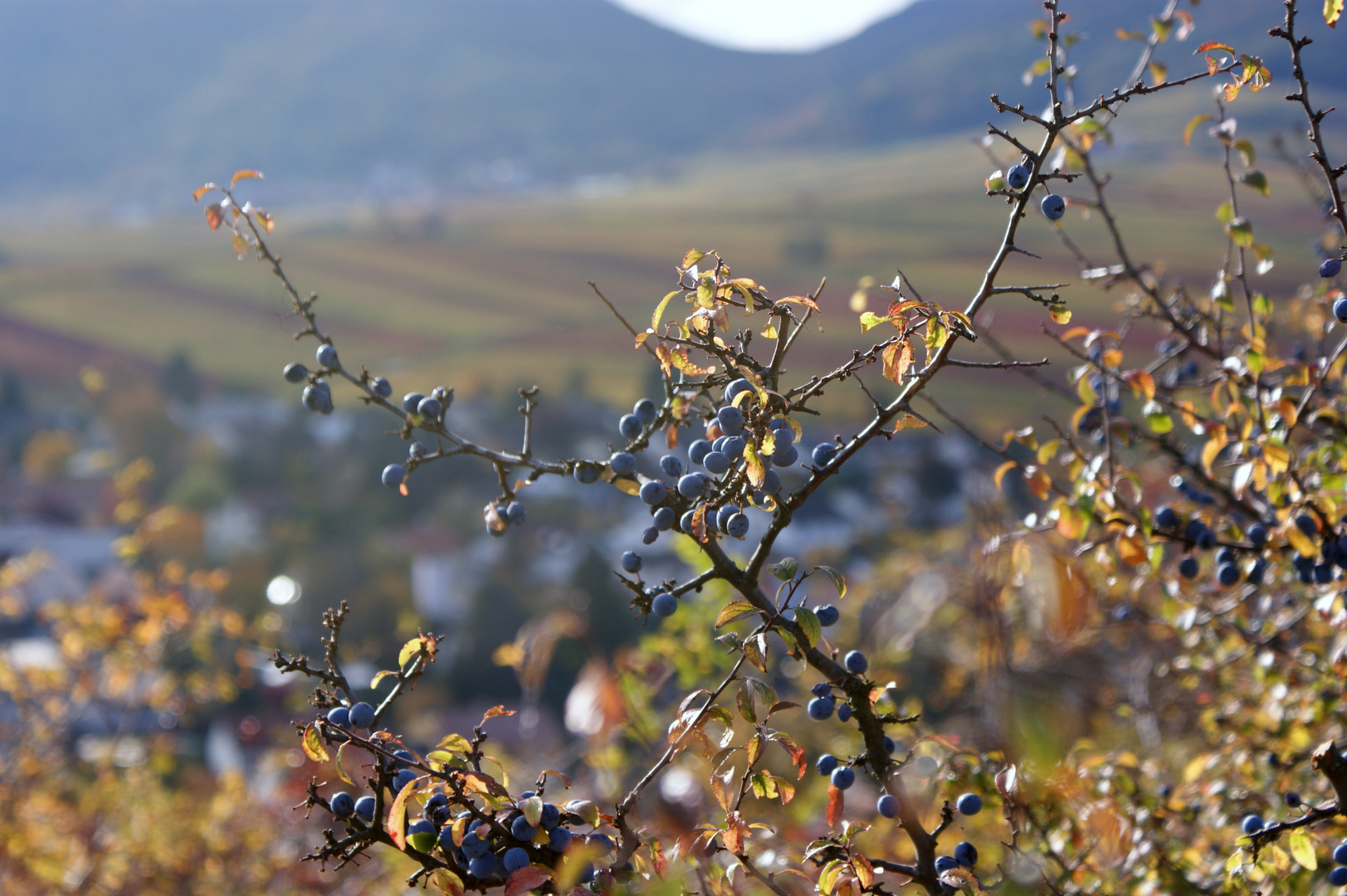 Herbststimmung