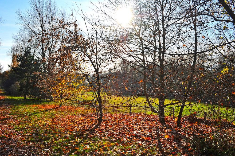 Herbststimmung