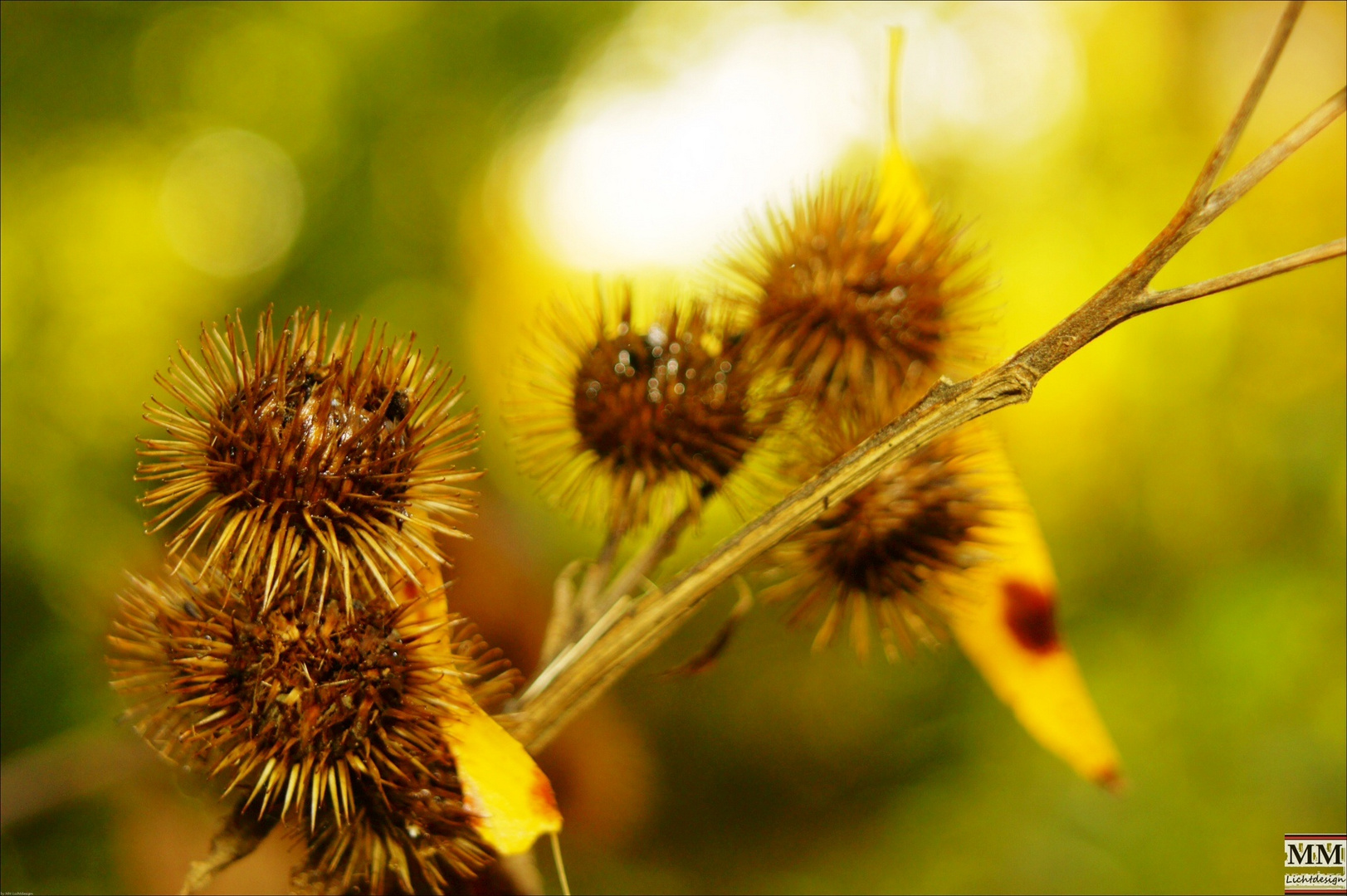 Herbststimmung