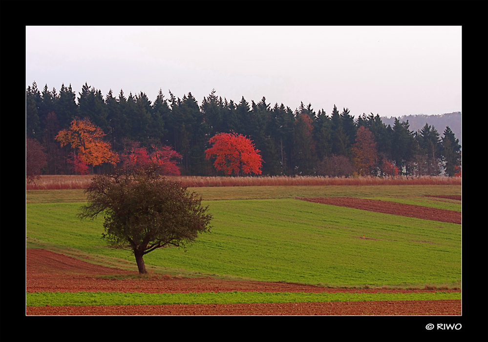 Herbststimmung.....