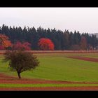 Herbststimmung.....