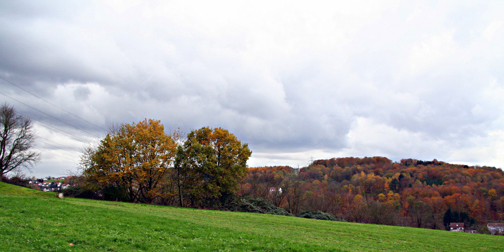 Herbststimmung