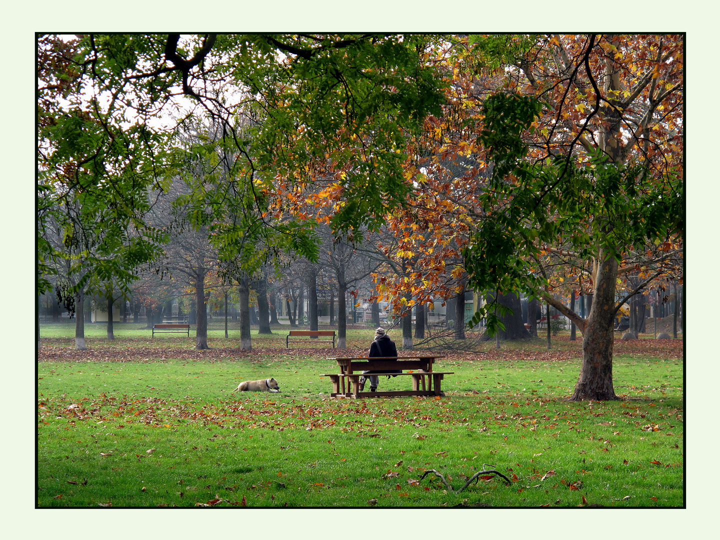 Herbststimmung