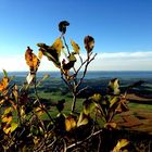 Herbststimmung