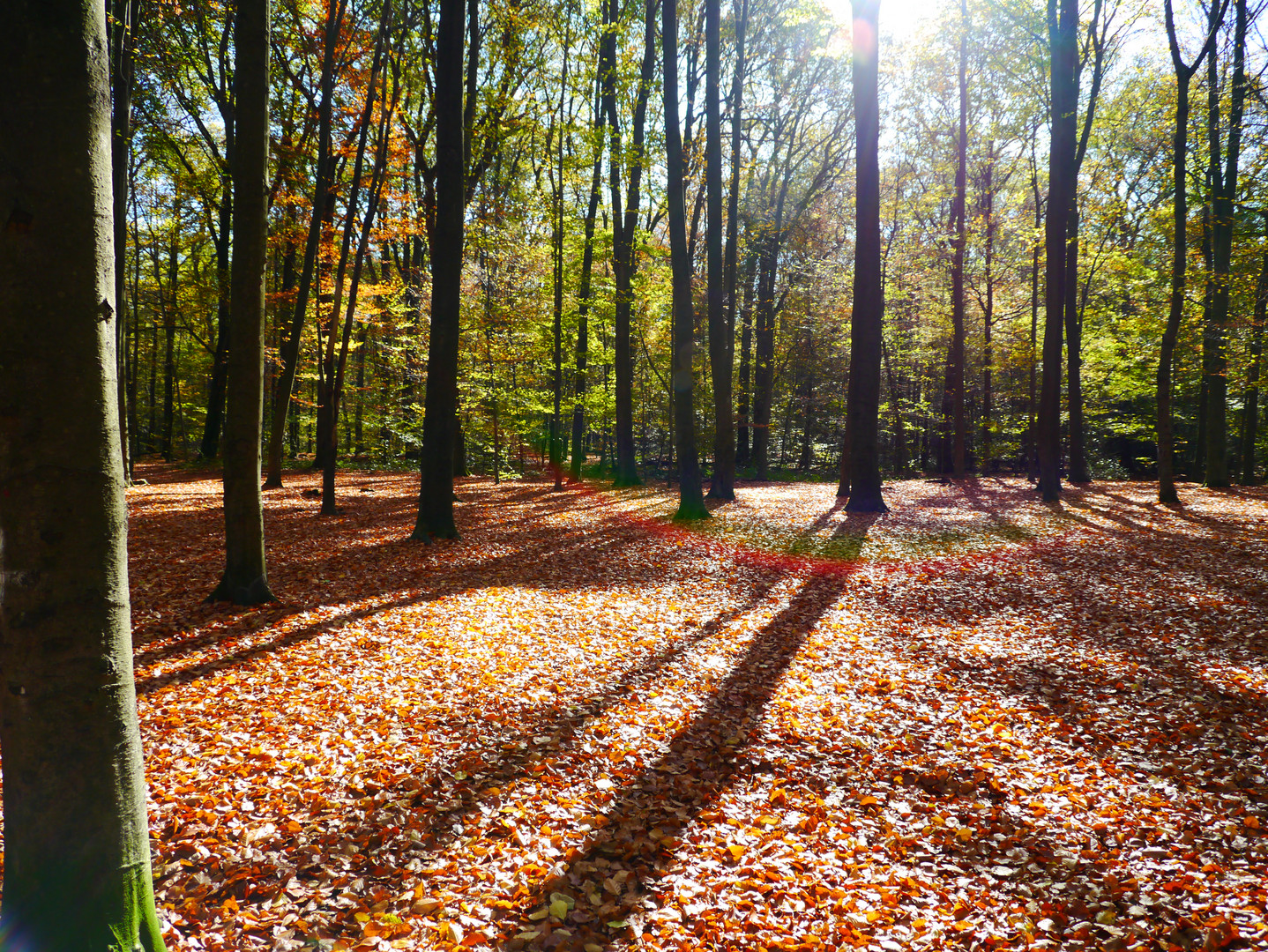 Herbststimmung