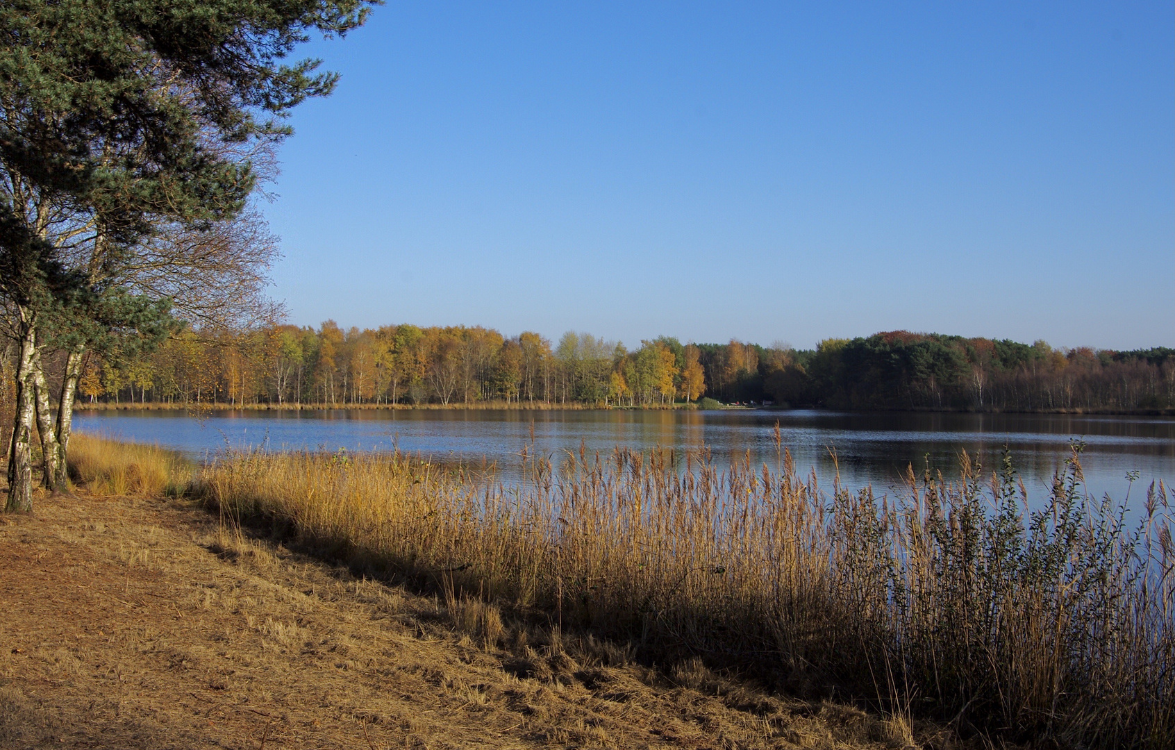 Herbststimmung