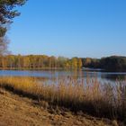 Herbststimmung