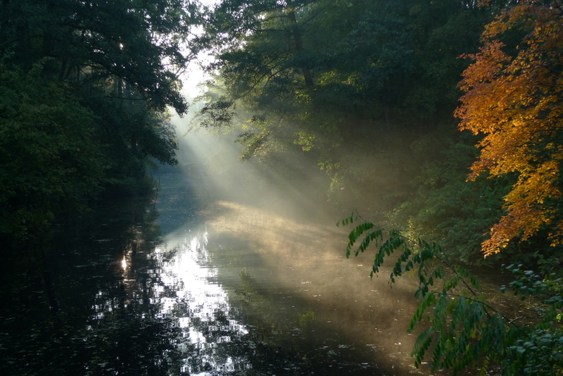 Herbststimmung