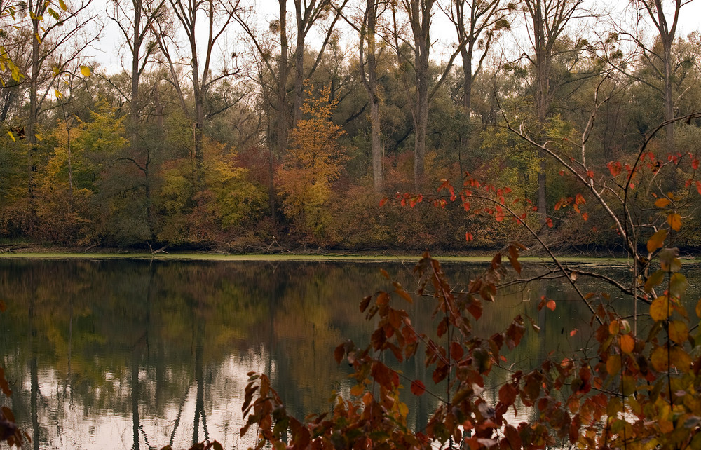 Herbststimmung