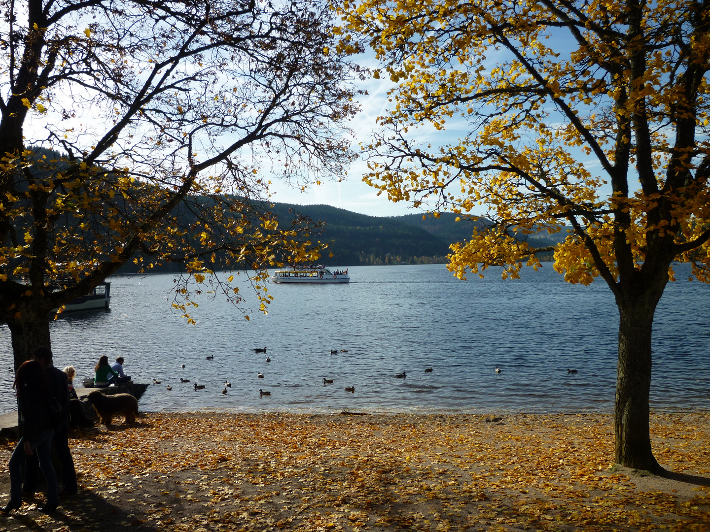 *** HERBSTSTIMMUNG ***