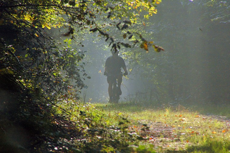 Herbststimmung