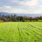 Herbststimmung