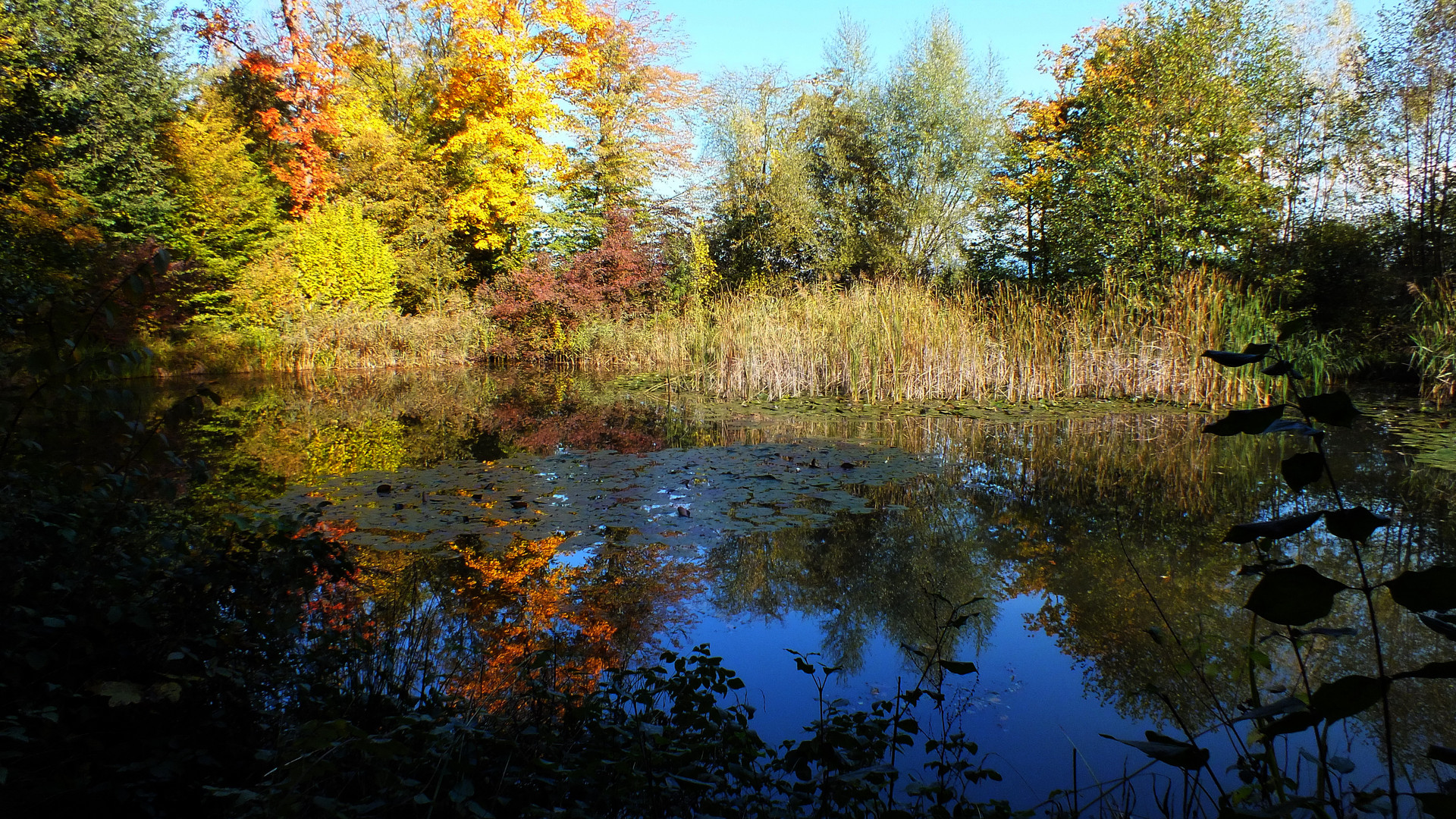 Herbststimmung