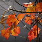 Herbststimmung