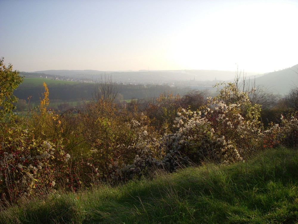 Herbststimmung