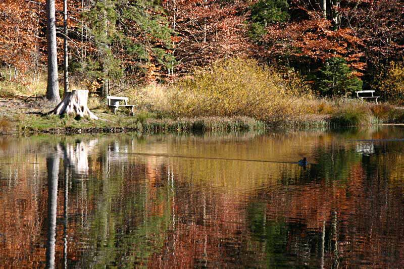 Herbststimmung