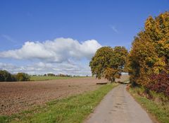 Herbststimmung