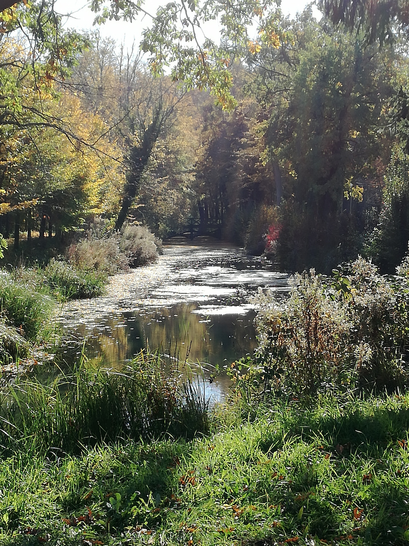 Herbststimmung