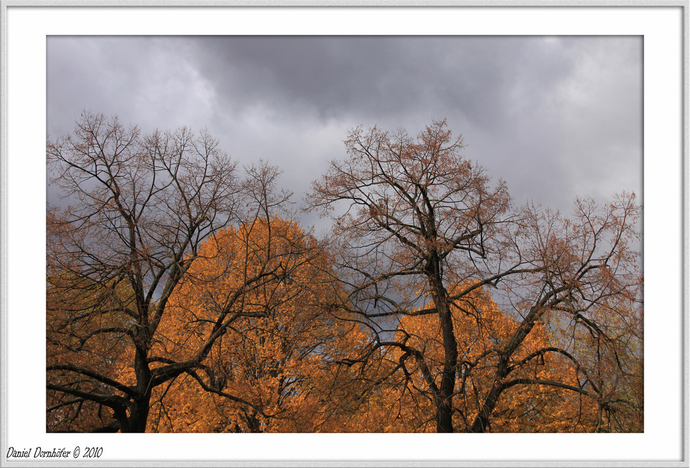 Herbststimmung