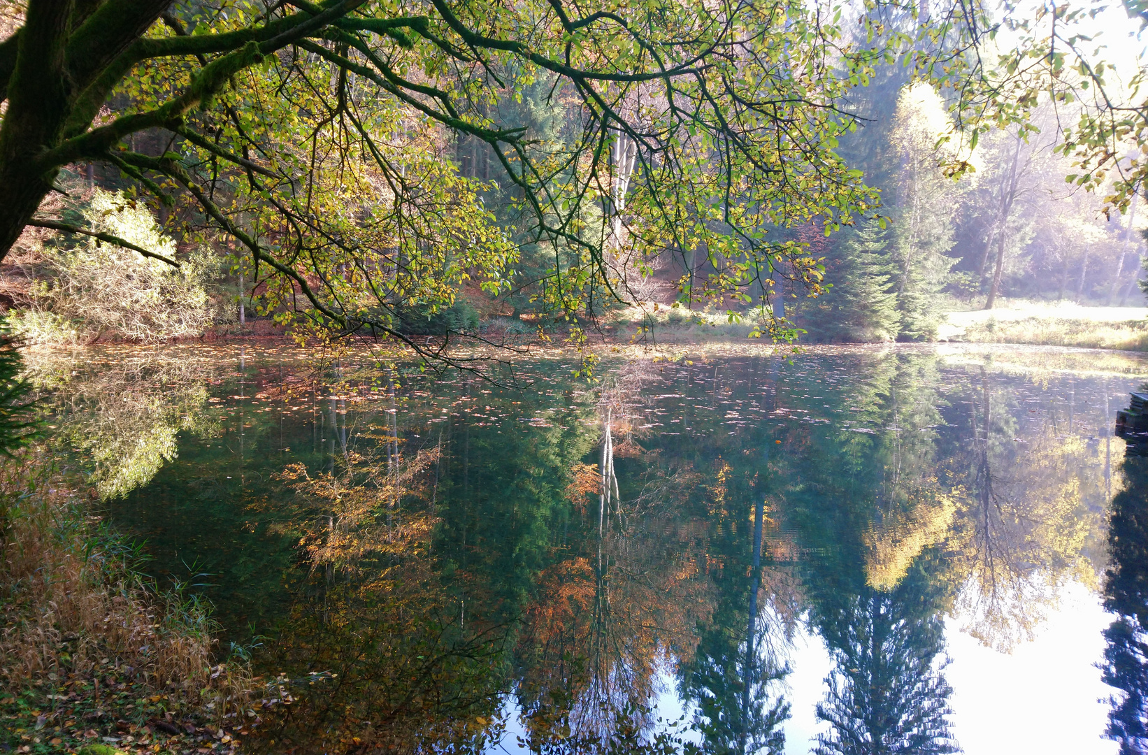 Herbststimmung