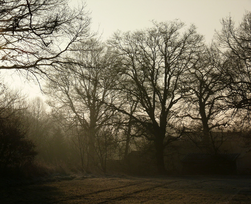 Herbststimmung