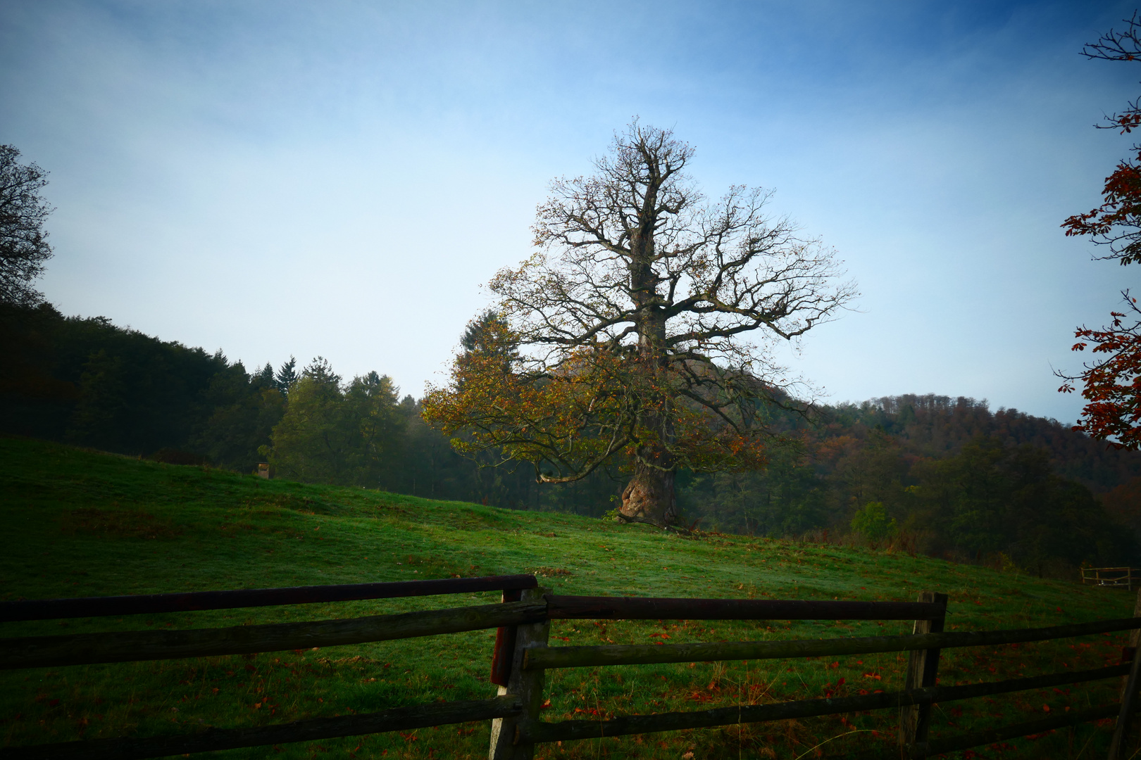 Herbststimmung 