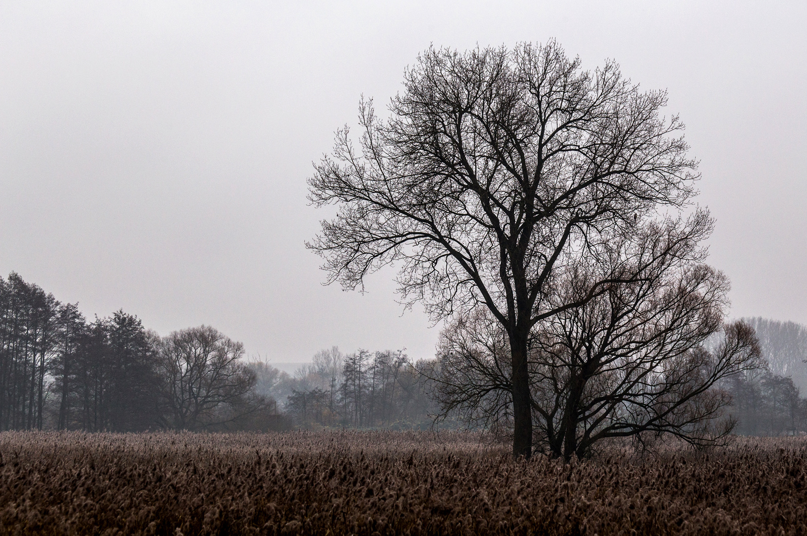 Herbststimmung