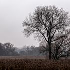 Herbststimmung