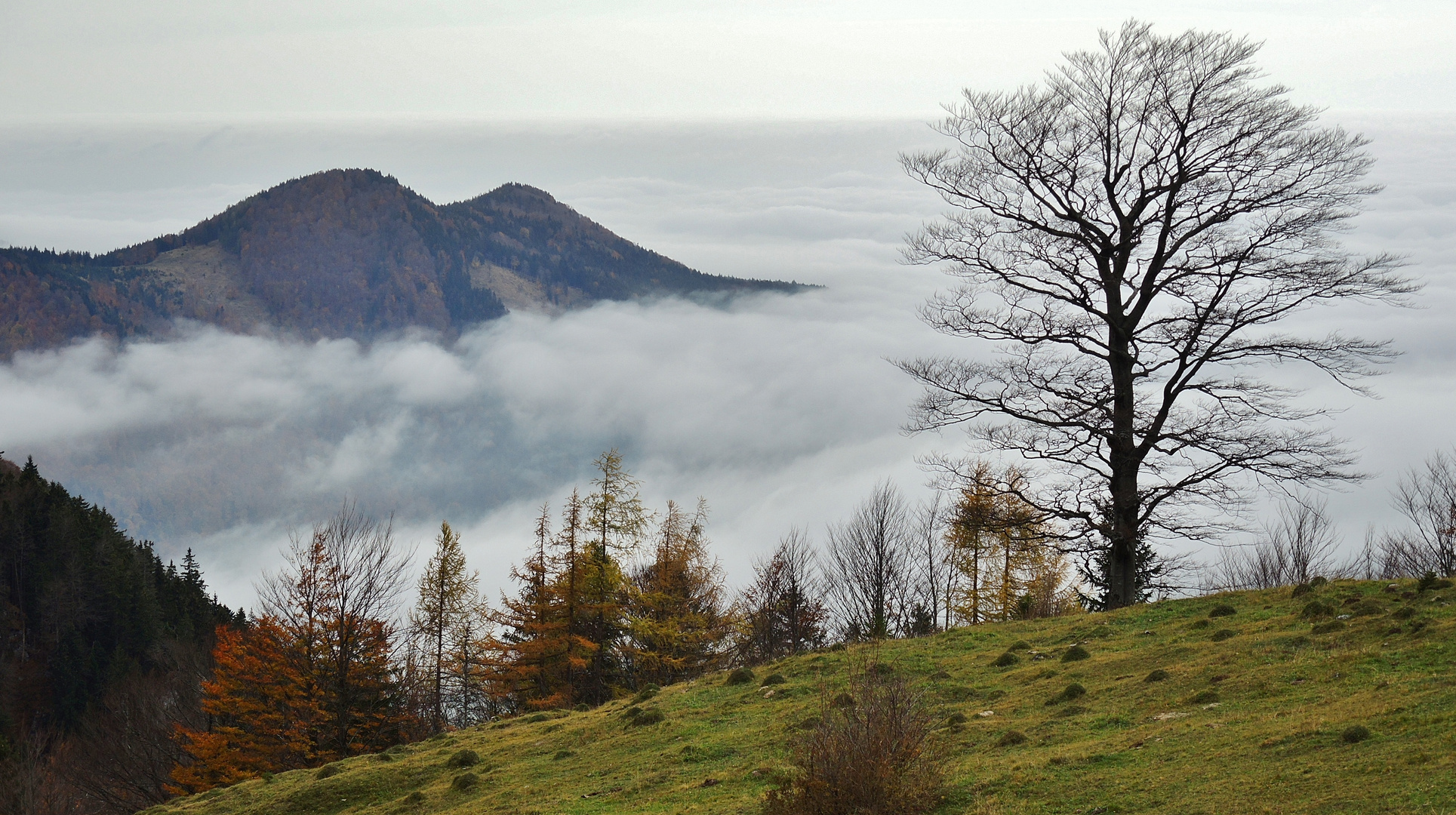 Herbststimmung...