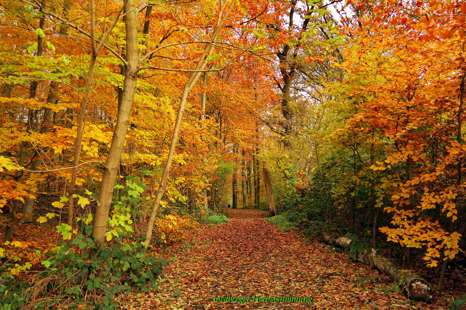 Herbststimmung