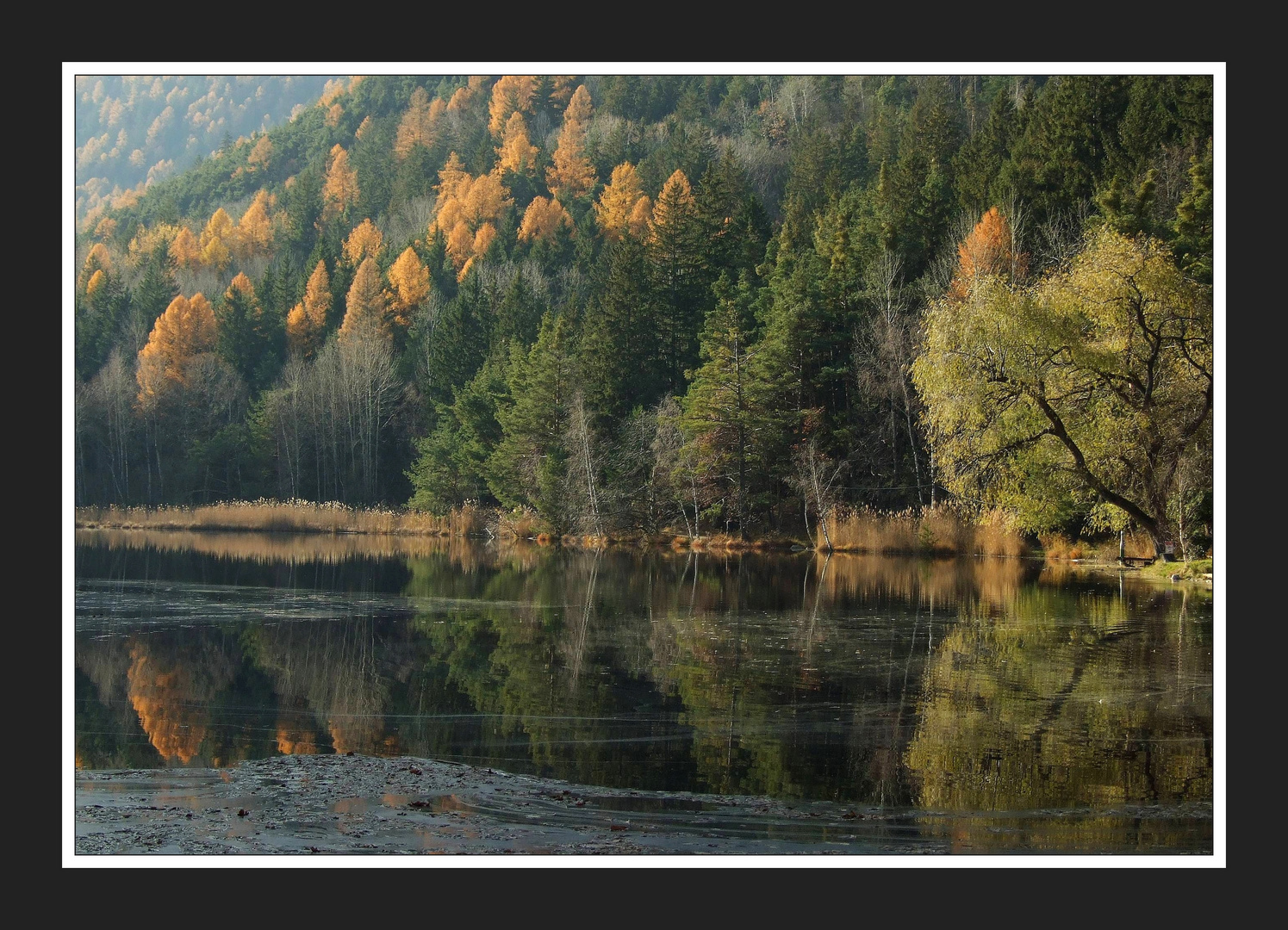 Herbststimmung