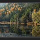 Herbststimmung