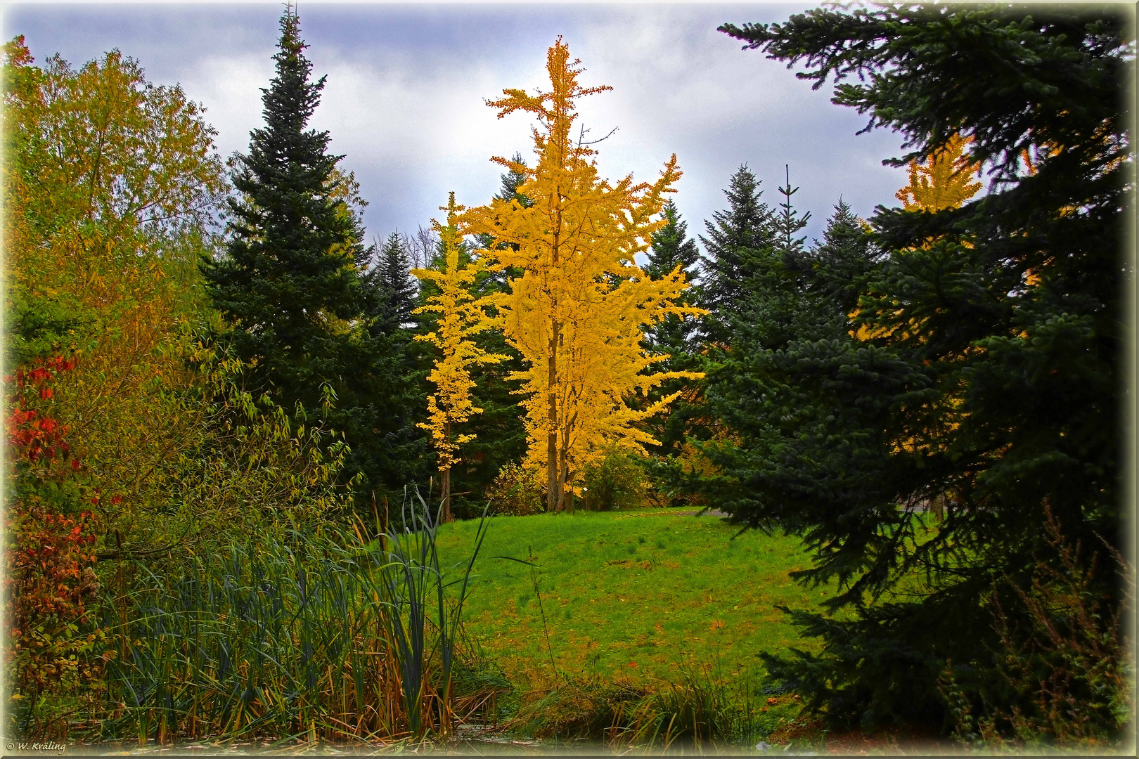 Herbststimmung