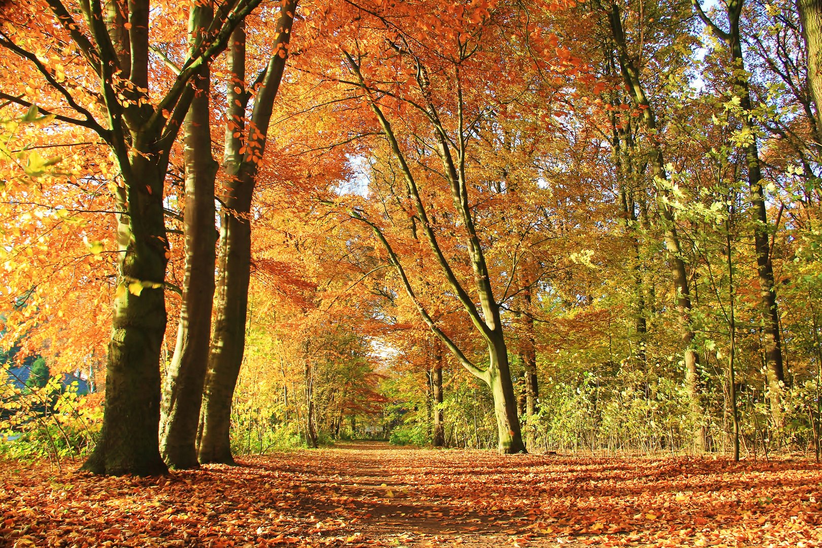 Herbststimmung