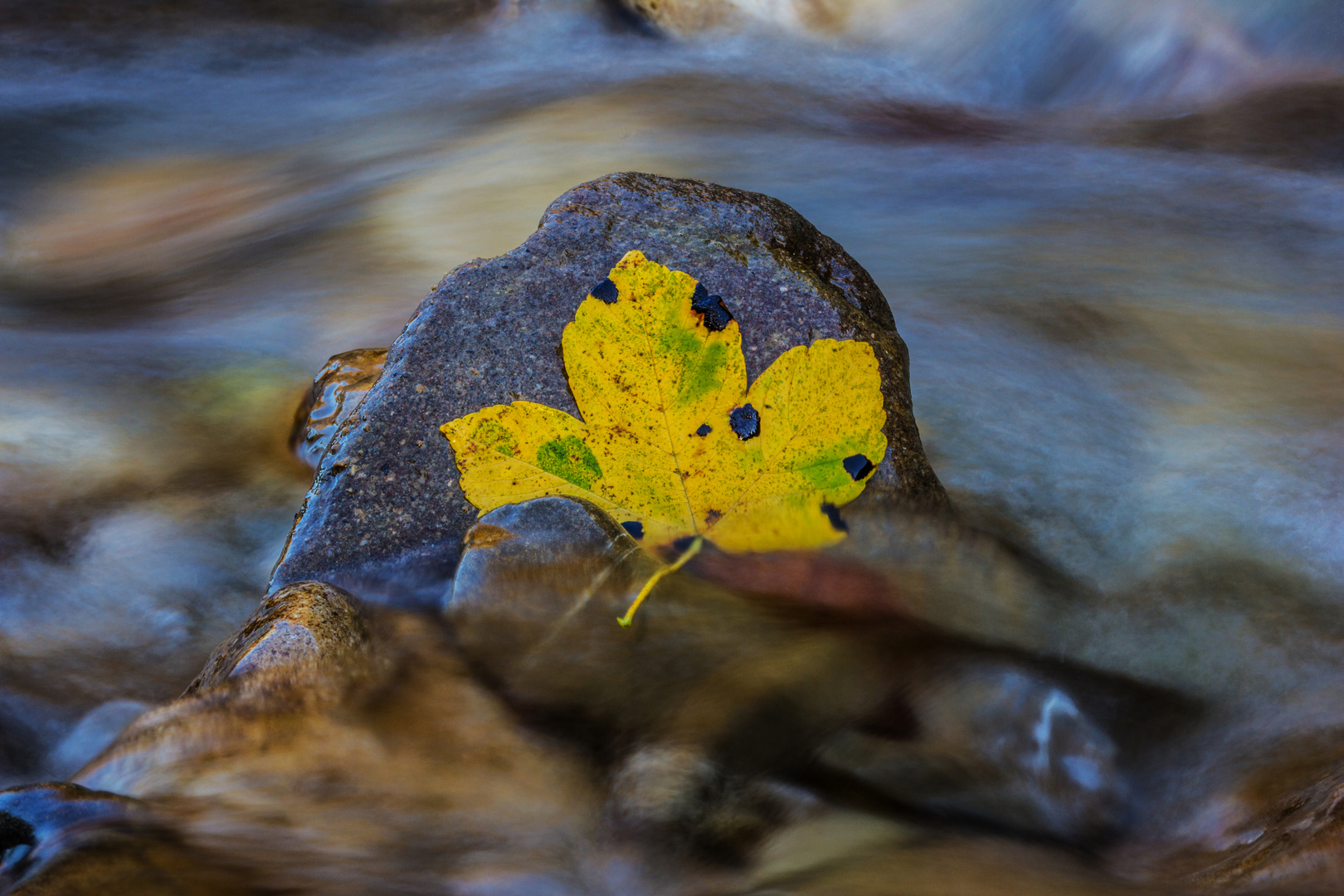 Herbststimmung