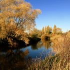 Herbststimmung