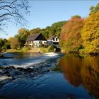 Herbststimmung