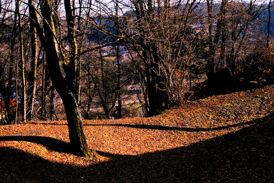 herbststimmung