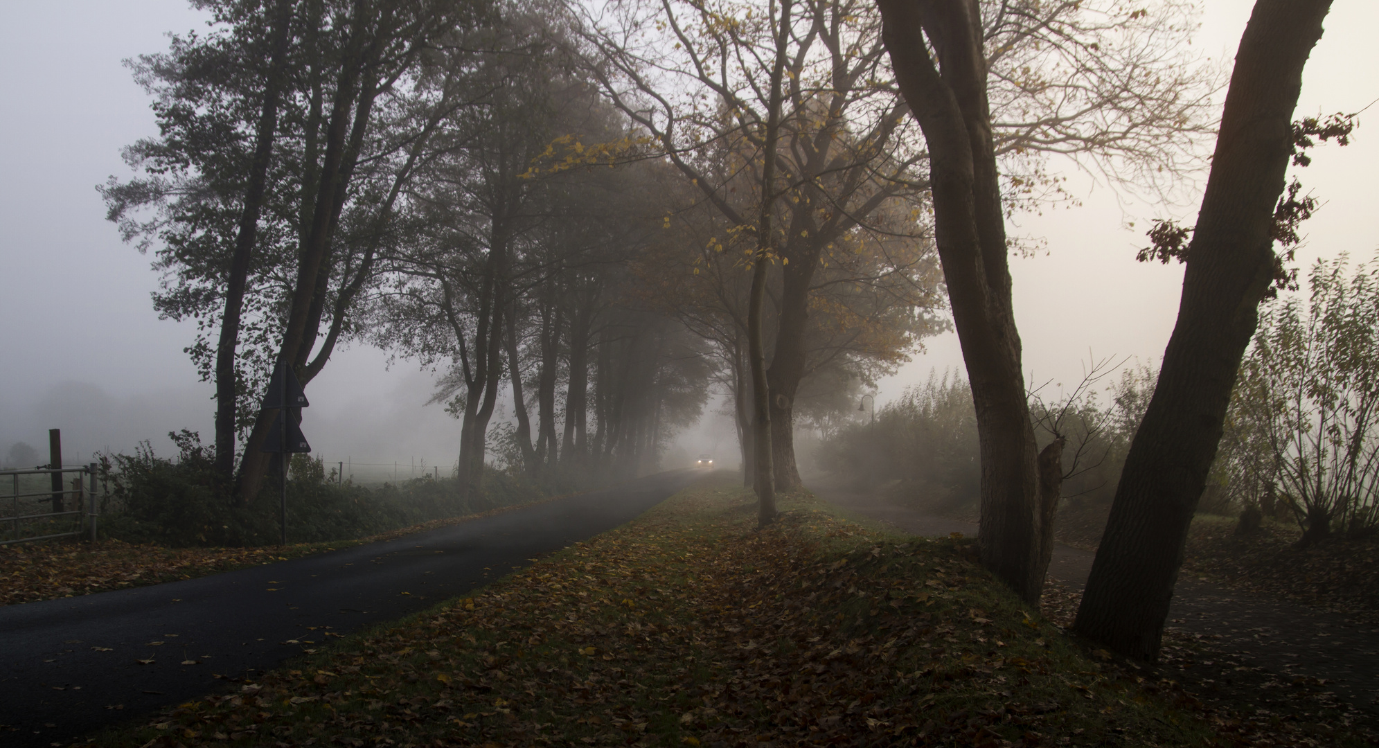 Herbststimmung