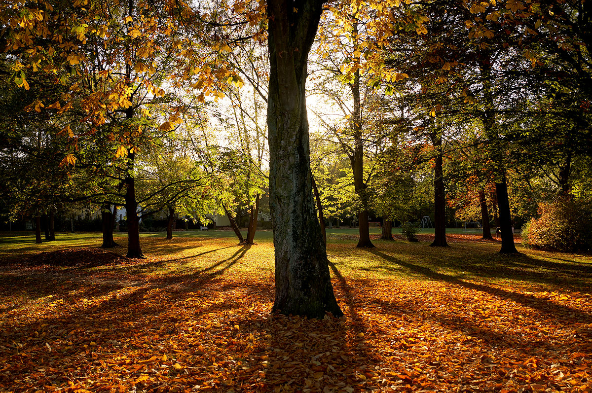 Herbststimmung