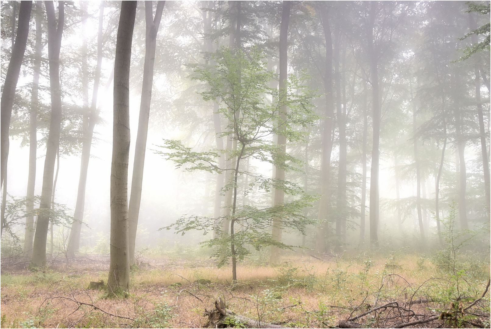 Herbststimmung