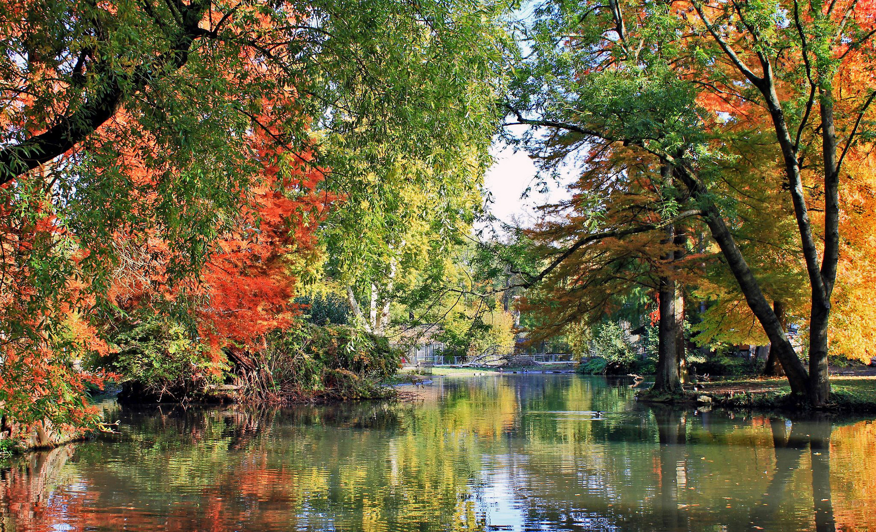 Herbststimmung