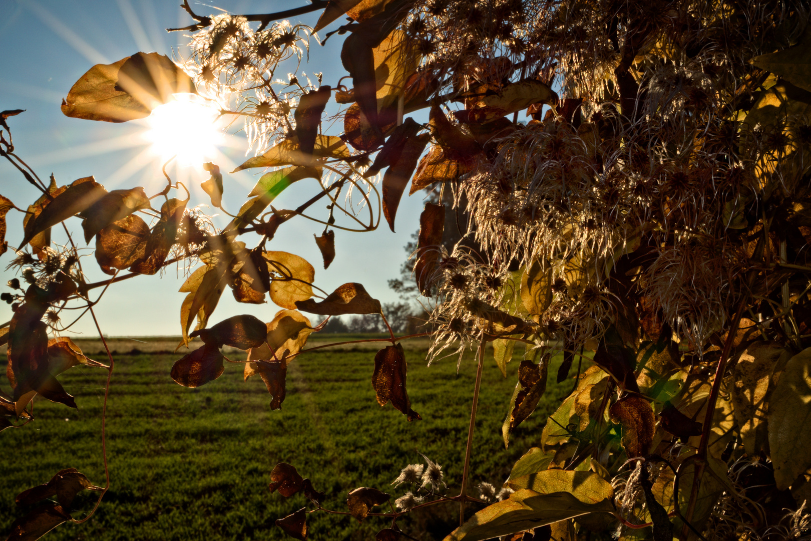 Herbststimmung