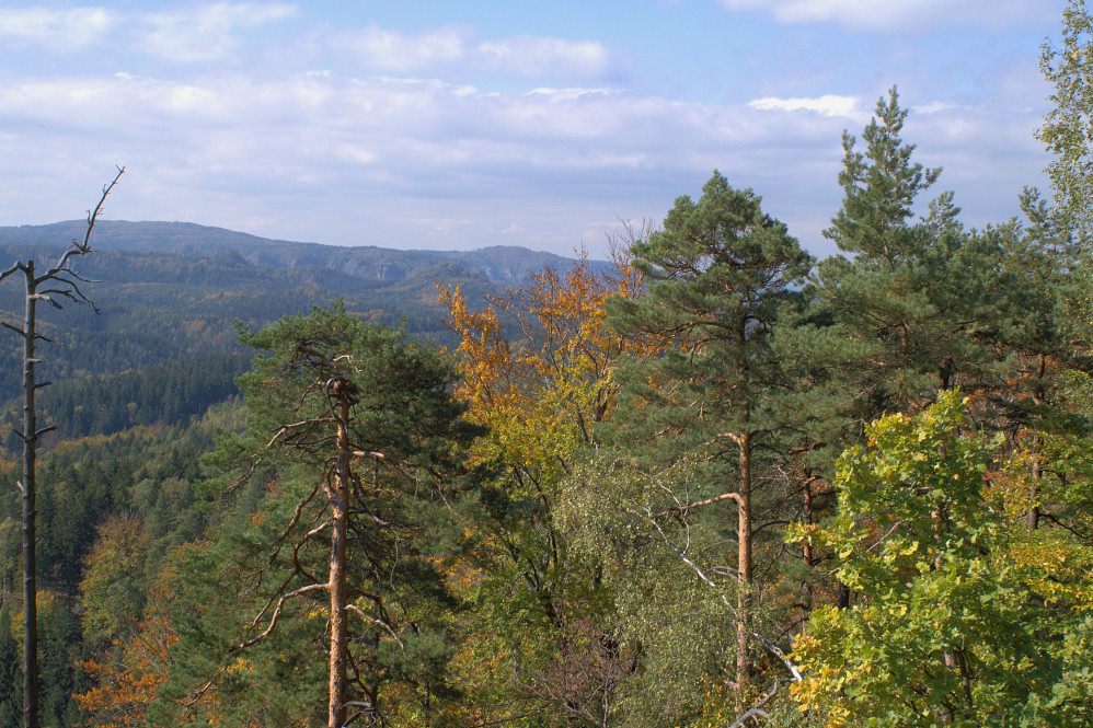 Herbststimmung