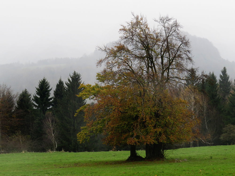 Herbststimmung...