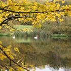 Herbststimmung