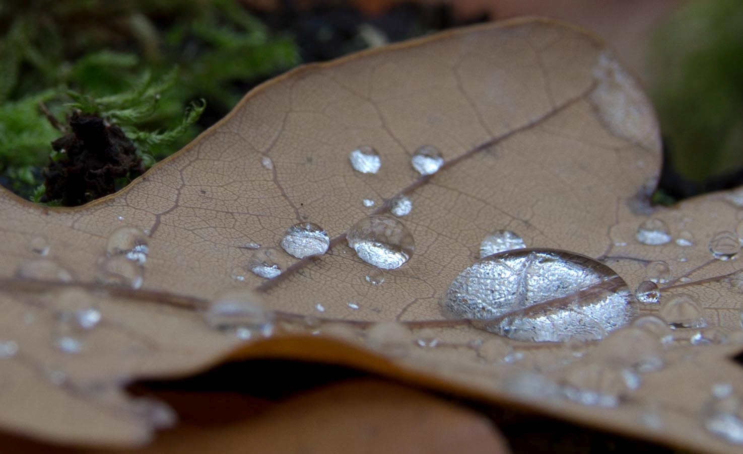 Herbststimmung